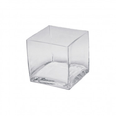 Cube Shape Glass Vase