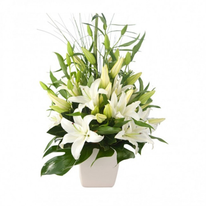 White Lilies