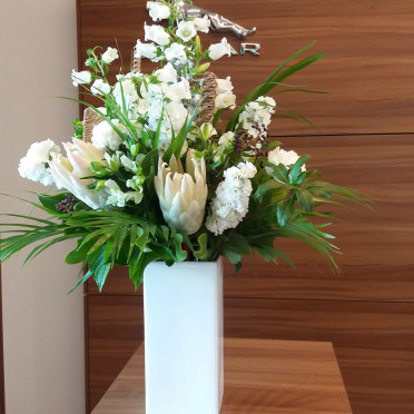 Office  Flower Subscription