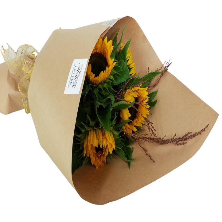 Sunflower Delight Sunflower Delight
