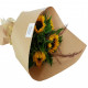 Sunflower Delight Sunflower Delight