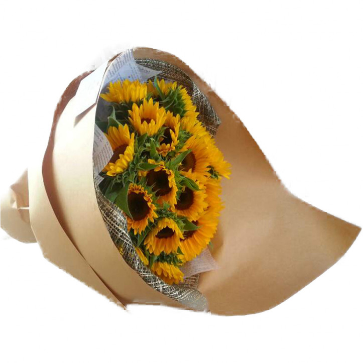 Sunflower Delight Sunflower Delight