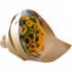 Sunflower Delight Sunflower Delight