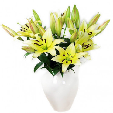 Yellow Lilies