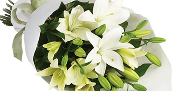 Kkot Studios Auckland florist can deliver flowers on Auckland today.