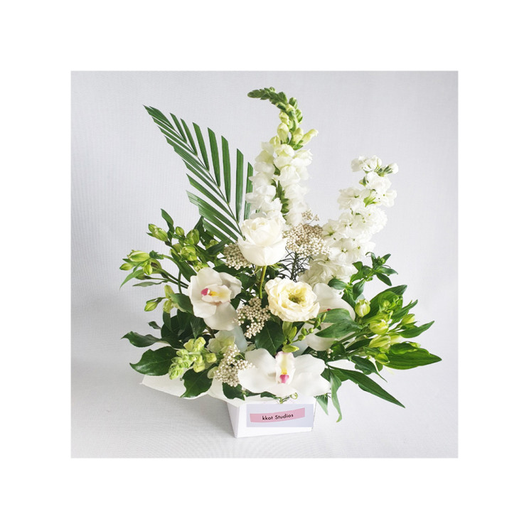 Kkot Studios Flowers | Free Same Day Flowers Delivery | Florist Auckland